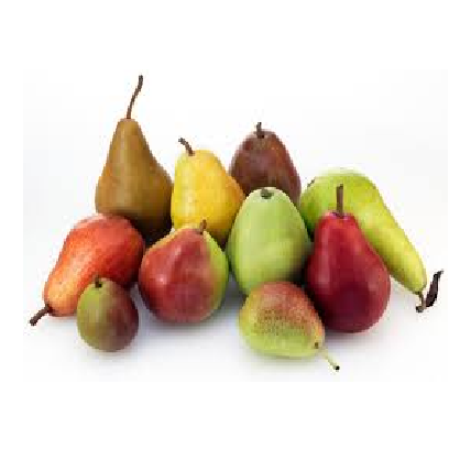 European Pear ( Avacado )